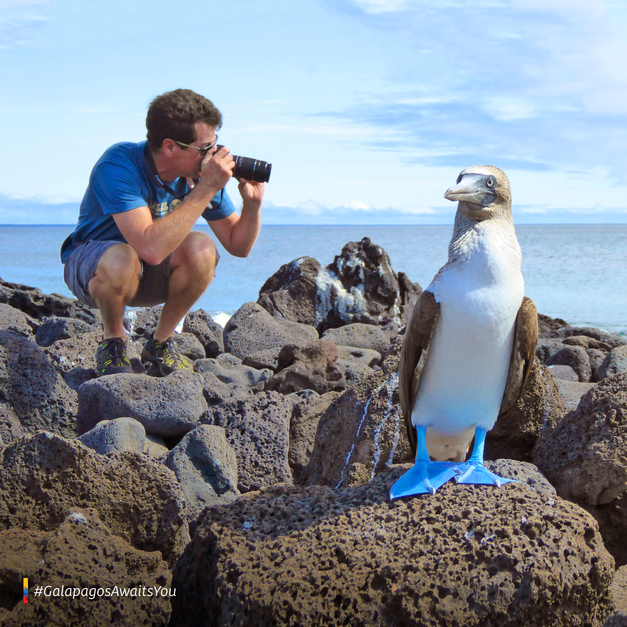 Galapagos Wildlife Photography Land Tour 2024