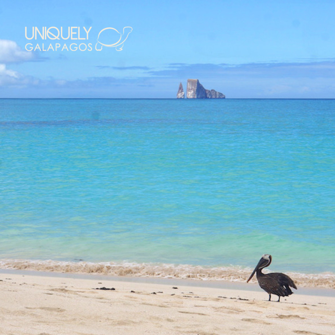 South Eastern Islands Cruise