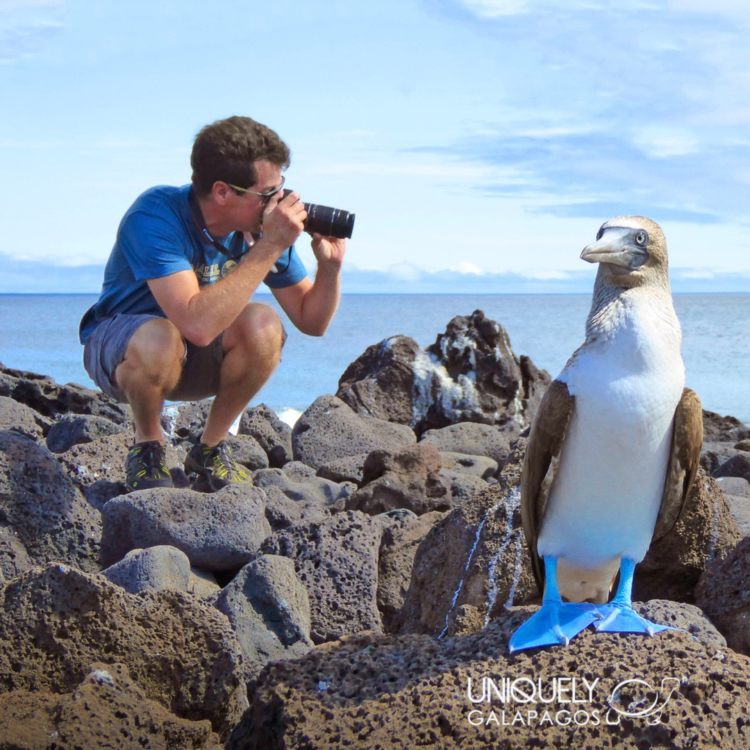North Seymour Island