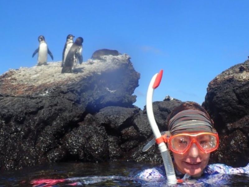Galapagos Wildlife Swim Experience 2024