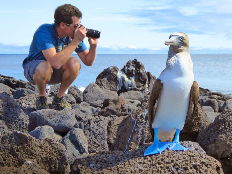 Galapagos Wildlife Photography Land Tour 