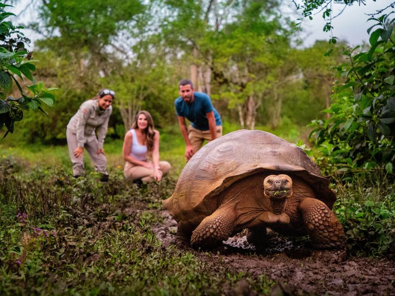 7 Day Galapagos Eco Luxury Explorer 