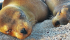 Banner 10