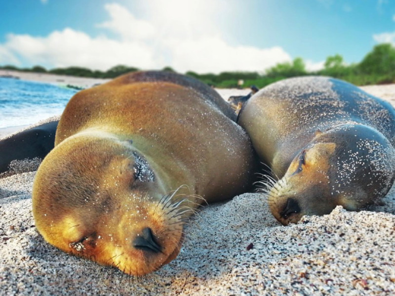 8 day Galapagos Eco Island Hopping 2026