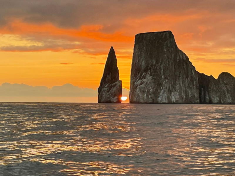 Why choose a local Galapagos Tour Operator?